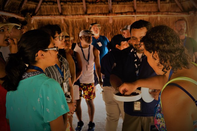 Kaan Luum & Cenotes Mayan Traditions - Who will enjoy this day most