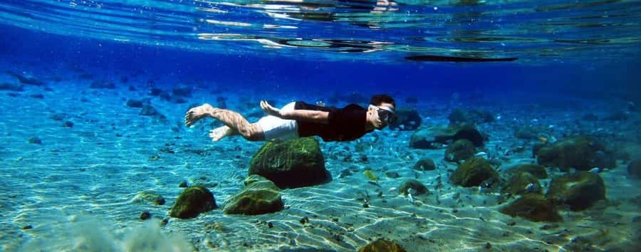 Kailua Kona: Dolphin, Sea Cave and Captain Cook Snorkel Tour - Key points to know before you book
