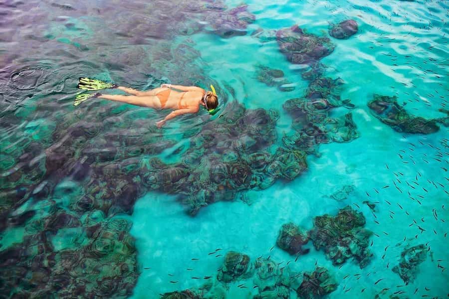 Kailua Kona: Dolphin, Sea Cave and Captain Cook Snorkel Tour - A quick Zodiac ride along the Kona coast