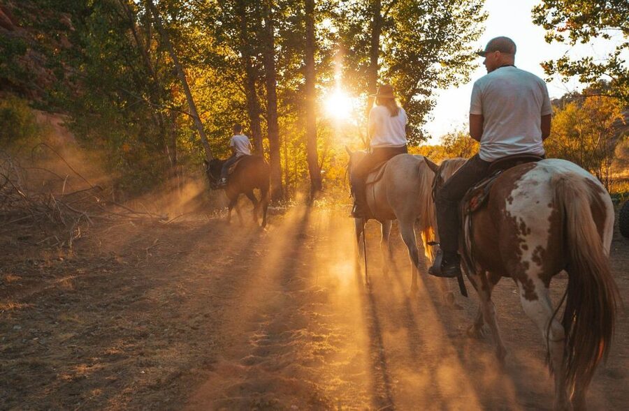 Kanab: Cave Lakes Canyon Horseback Riding Experience - Horses, guides, and first-time riders