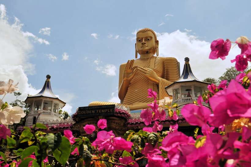 Kandy: Sigiriya Fortress & Cave Temple Full Day Private Tour - How the guide and driver affect your day