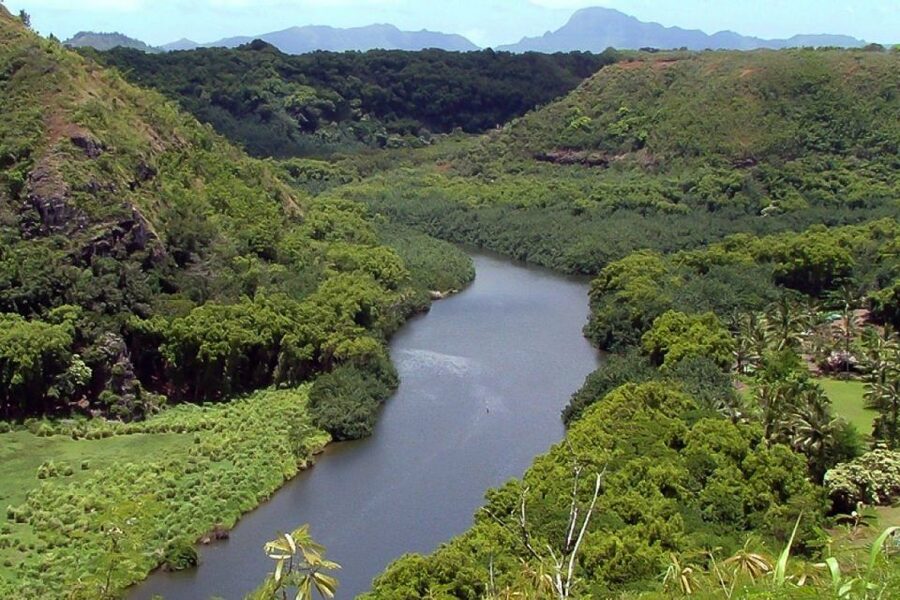 Kauai Northeast Tour, Fern Grotto River Cruise & Lighthouse - Opaekaa Falls, sacred sites, and Sleeping Giant