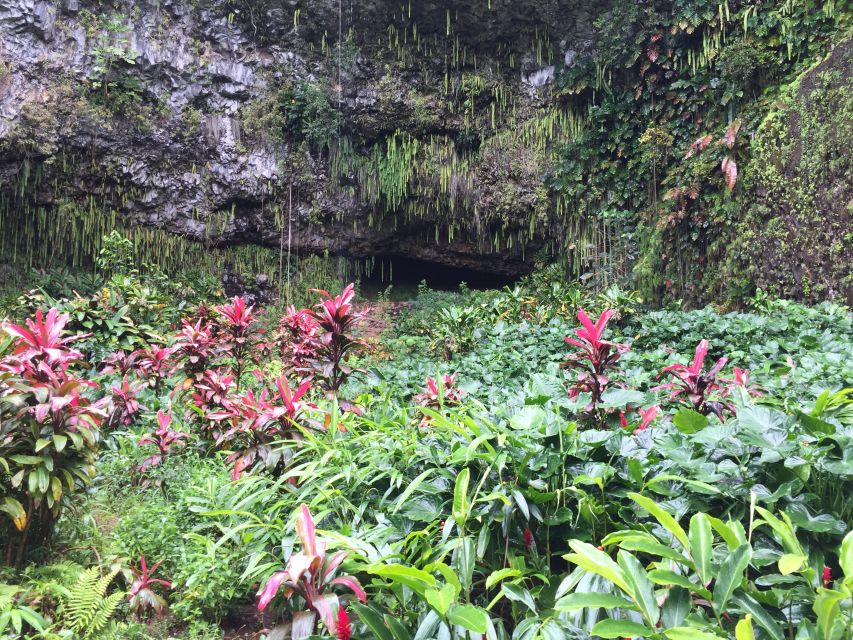 Kauai Northeast Tour, Fern Grotto River Cruise & Lighthouse - Guides who make the difference