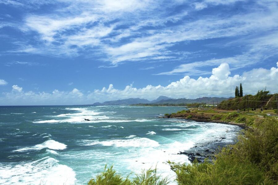 Kauai Northeast Tour, Fern Grotto River Cruise & Lighthouse - Who should book this six-hour route