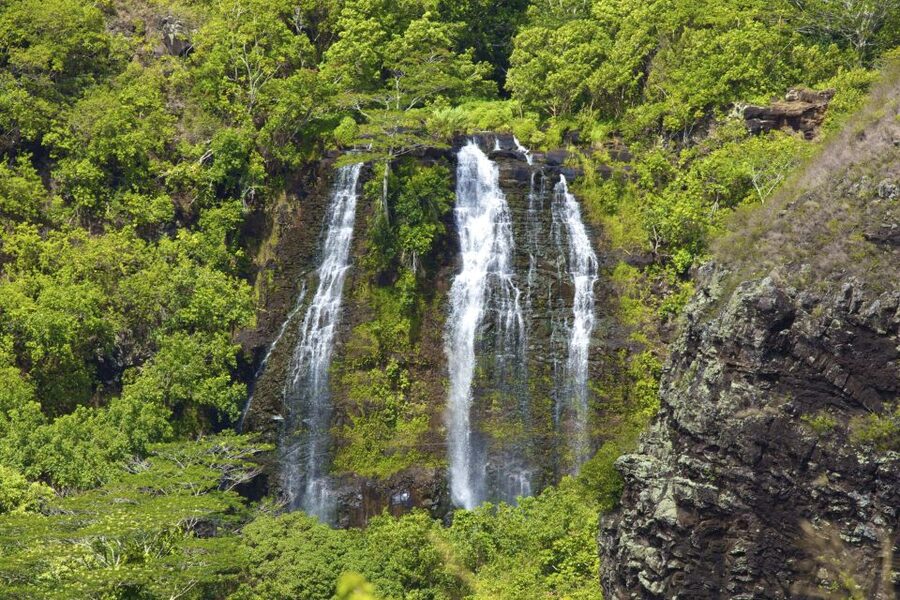 Kauai Northeast Tour, Fern Grotto River Cruise & Lighthouse - Practical ways to enjoy the day