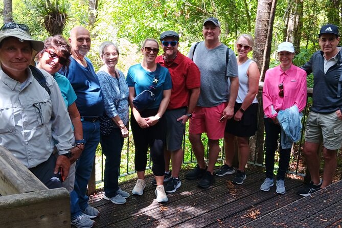 Kawiti Glow Worm Cave Tour & Opua Forest Walk - Small-group guiding makes a real difference