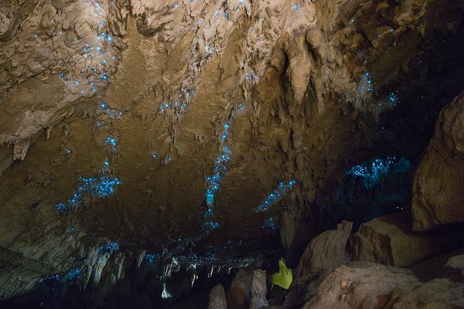 Kawiti Glow Worm Cave Tour & Opua Forest Walk - The crowding issue at Kawiti Cave
