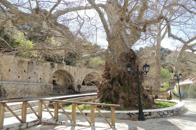 Knossos & Lasithi Plateau: Zeus Cave,Villages, Olive Oil Tour - The Lasithi Plateau and its old windmills