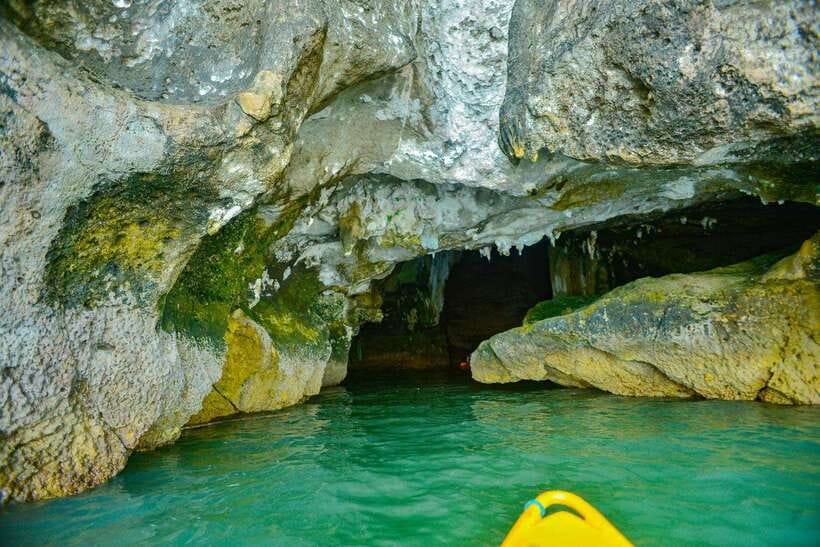 Ko Lanta: Full-Day Mangrove and Sea Cave Kayaking Experience - What the $49 price includes