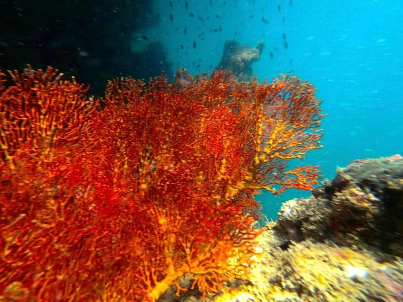 Koh Lanta: 4 Islands and Emerald Cave Snorkeling Trip - Four Trang Islands in One Fast-Paced Day