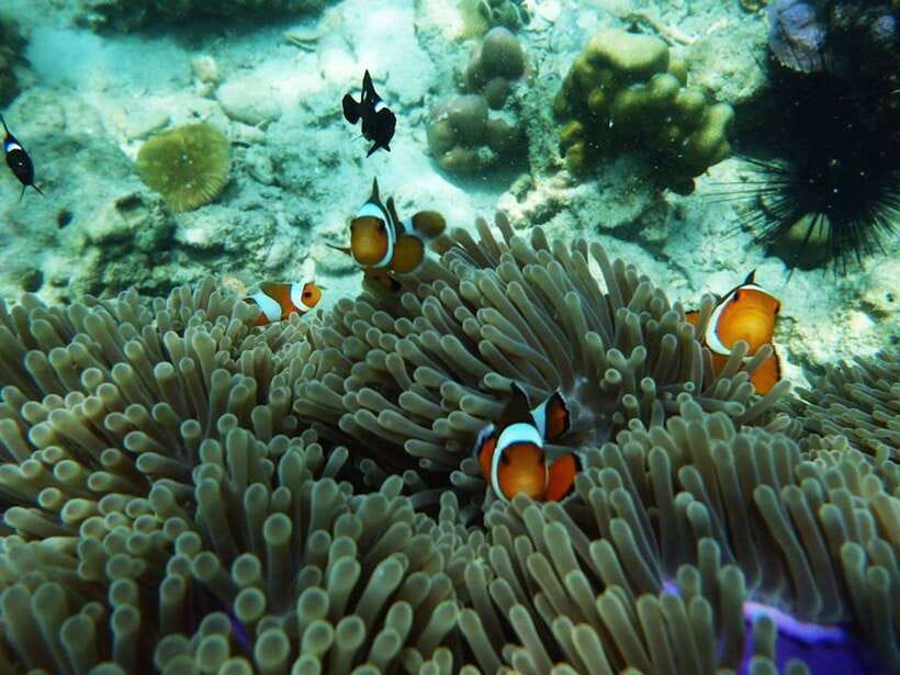 Koh Lanta: 4 Islands and Emerald Cave Snorkeling Trip - Practical Ways to Make the Day Better