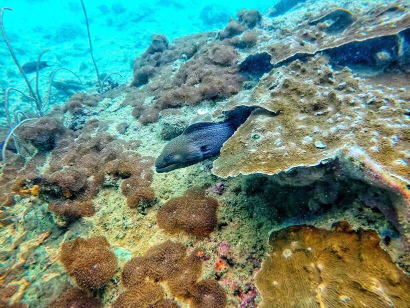 Koh Lanta: 4 Islands and Emerald Cave Snorkeling Trip - Speedboat Travel Shapes the Whole Day