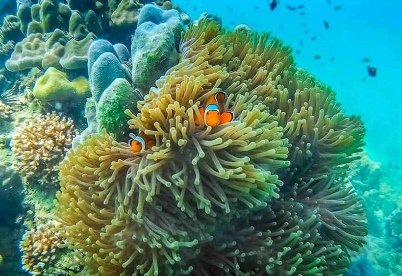 Koh Lanta: 4 Islands and Emerald Cave Snorkeling Trip - What the $57 Price Really Covers