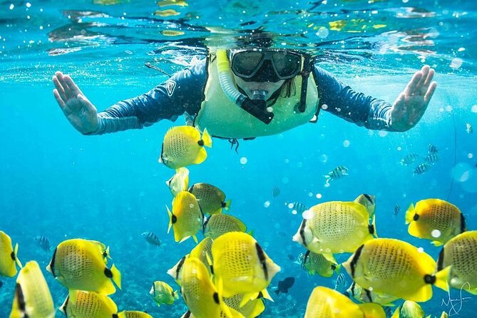 Kona Shore Excursion: Wild Dolphin Reefs Snorkel and Sea Caves - Meeting the boat at Kailua Pier