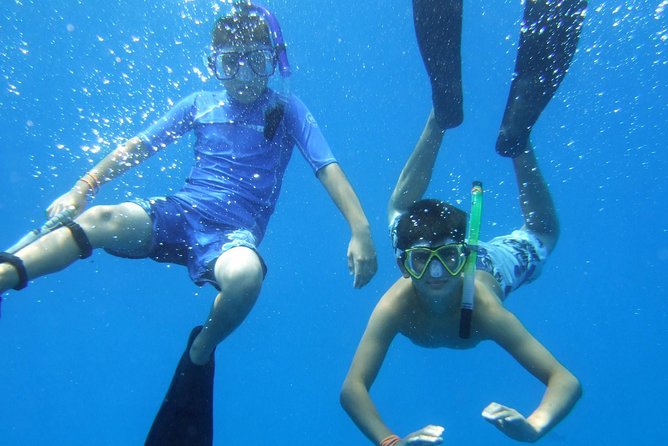 Kona Shore Excursion: Wild Dolphin Reefs Snorkel and Sea Caves - Lunch, snacks, and what $149 buys you