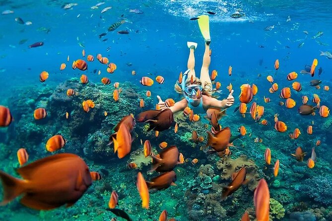 Kona Snorkel Tour: Captain Cook Reef Snorkel, Dolphin & Sea Caves - A quick ride to Captain Cook Reef