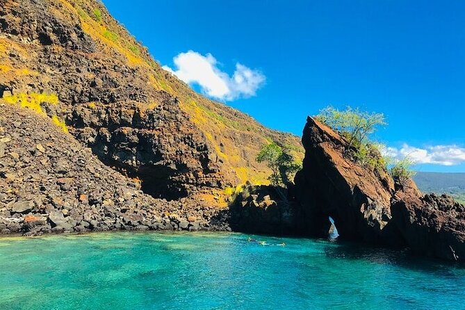 Kona Snorkel Tour: Captain Cook Reef Snorkel, Dolphin & Sea Caves - Dolphins, whales, and an important marketing detail