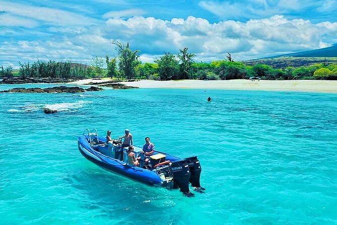 Kona Snorkel Tour: Captain Cook Reef Snorkel, Dolphin & Sea Caves - Is $71.10 a fair price?