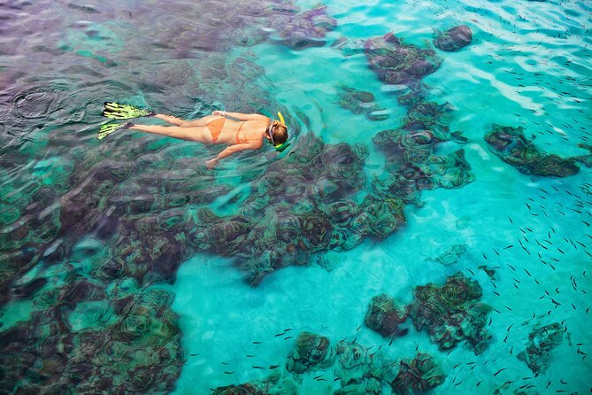 Kona Snorkel Tour: Captain Cook Reef Snorkel, Dolphin & Sea Caves - Who will enjoy this most?