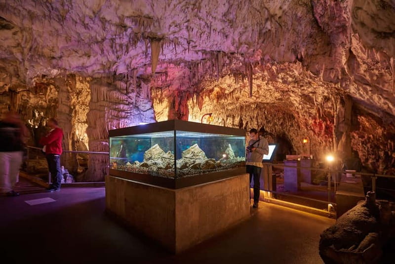 Koper/Trieste: Postojna Cave & Predjama Castle Tour & Ticket - The 30-minute break at Postojna