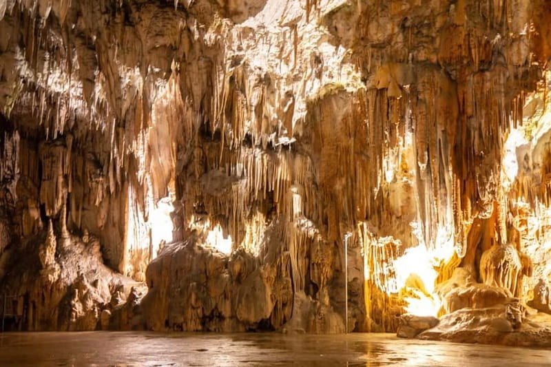 Koper/Trieste: Postojna Cave & Predjama Castle Tour & Ticket - Starting from Koper, Trieste, Portorož, or Piran