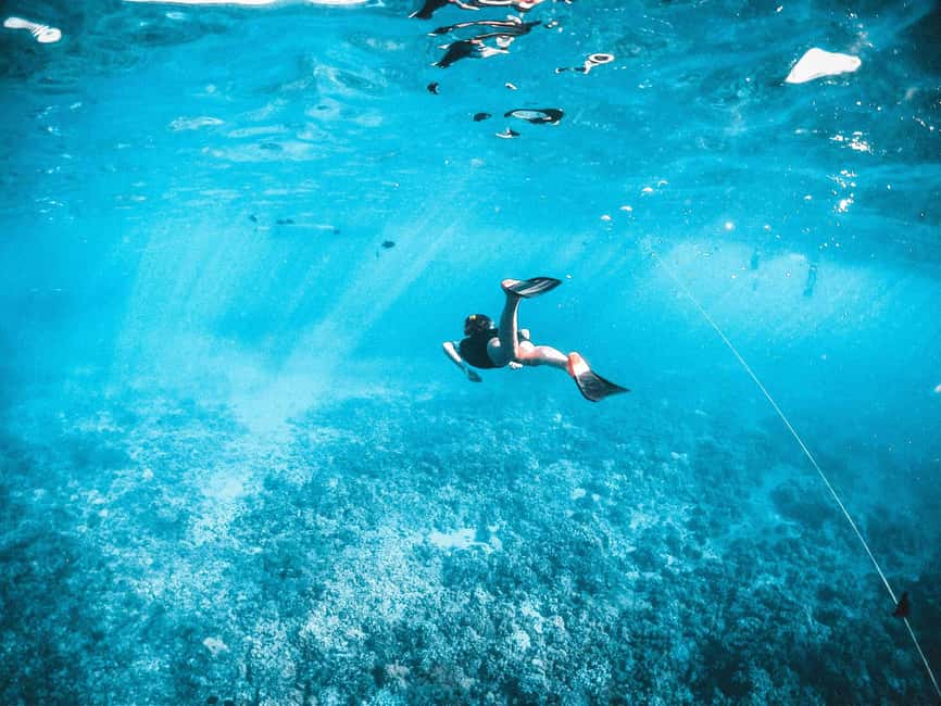 Kotor: Boat Tour with Blue Cave visit and Boka Bay - The Blue Cave swimming stop