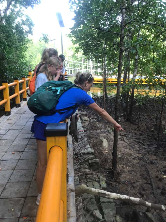 Krabi: Half-Day Mangrove Boat Trip And Khao Khanap Nam Cave - Guide quality can shape the whole outing