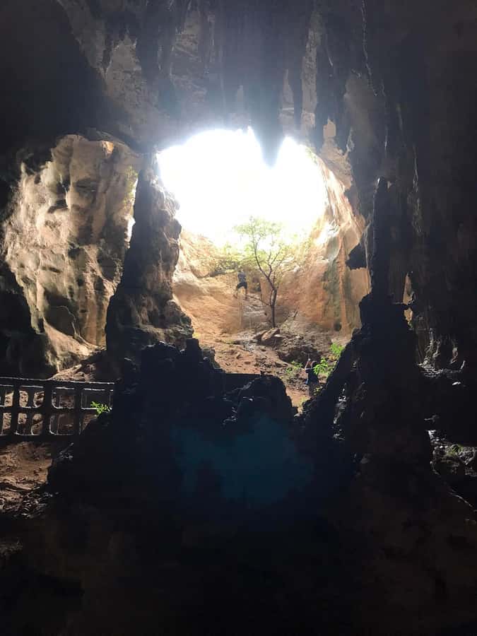 Krabi: Half-Day Mangrove Boat Trip And Khao Khanap Nam Cave - Leaving from the Black Crab Sculpture Pier