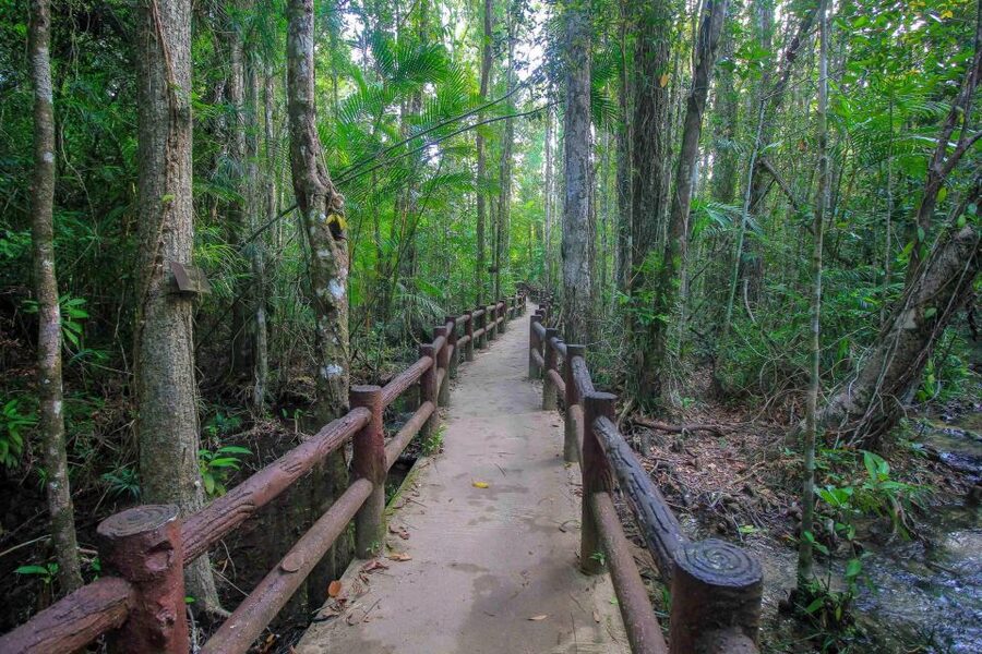 Krabi Outback Explorer with Visit of Tiger Cave Temple - Khao Pra Bang Khram and the first jungle walk