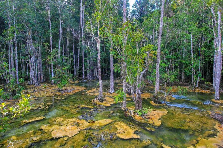 Krabi Outback Explorer with Visit of Tiger Cave Temple - What the guide can add