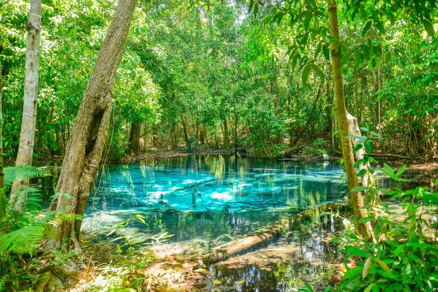 Krabi Private Escape: Emerald Pool, Hot Springs & Tiger Cave - Emerald Pool: a jungle walk before the swim