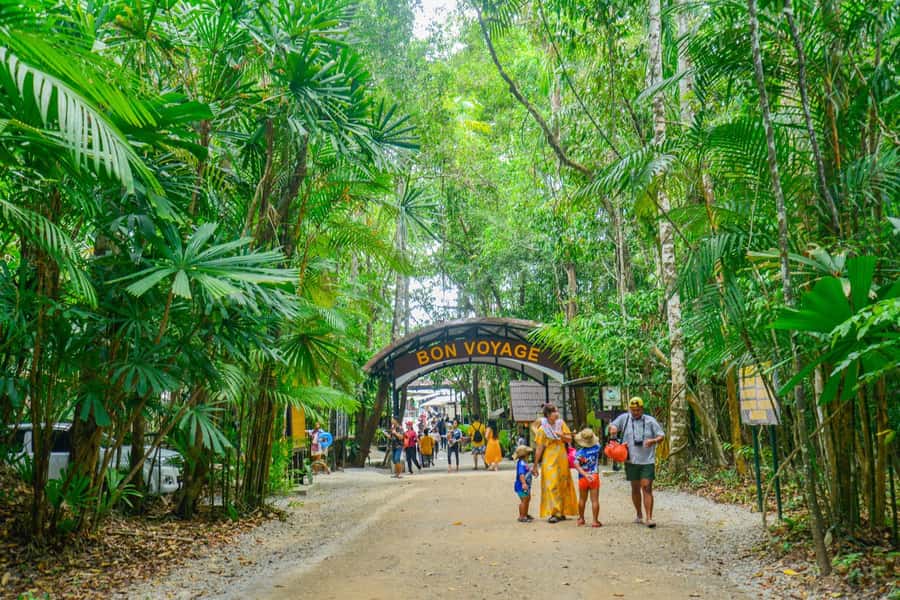 Krabi Private Escape: Emerald Pool, Hot Springs & Tiger Cave - Private transport, pickup areas, and timing