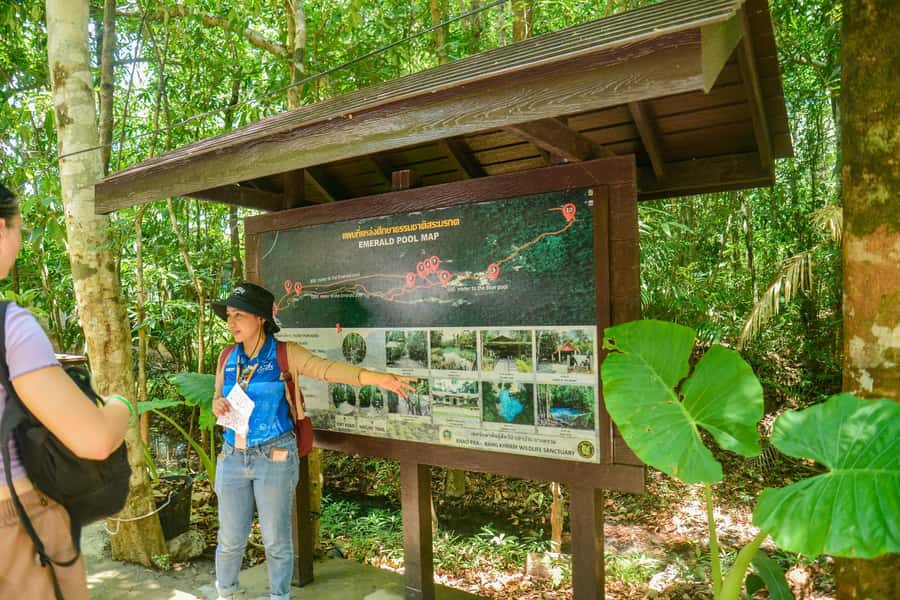 Krabi Private Escape: Emerald Pool, Hot Springs & Tiger Cave - What the $159 price really covers