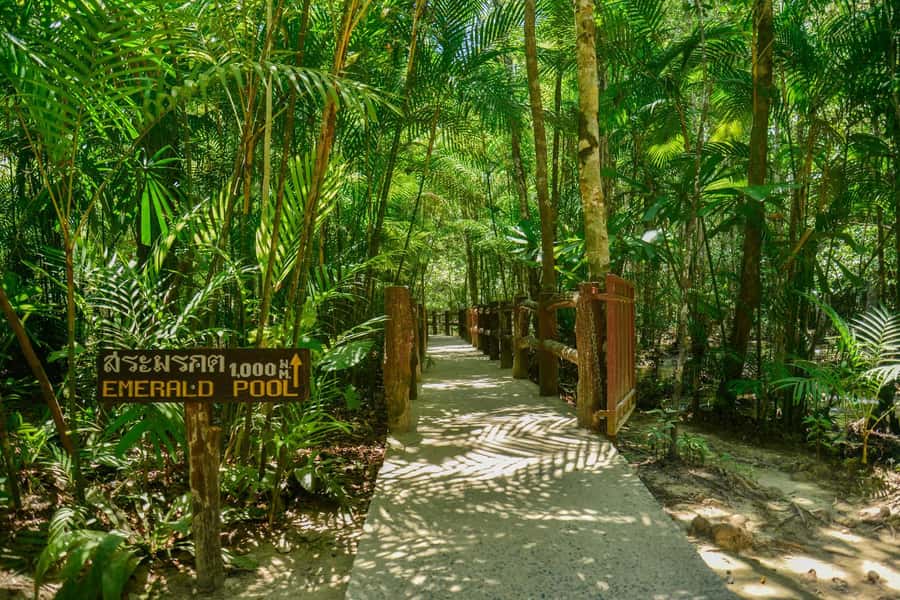 Krabi Private Escape: Emerald Pool, Hot Springs & Tiger Cave - Who should book this experience?