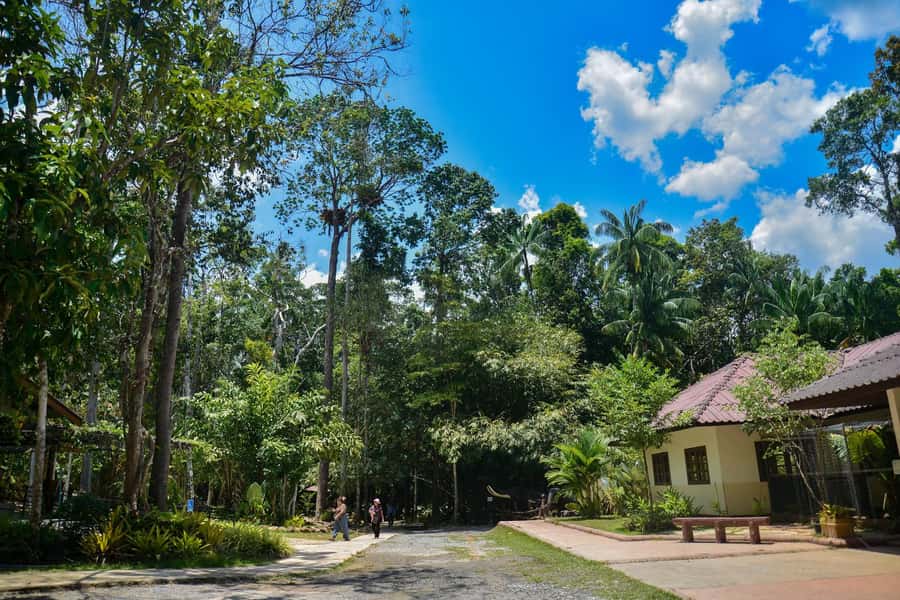 Krabi Private Escape: Emerald Pool, Hot Springs & Tiger Cave - Booking advice and final verdict