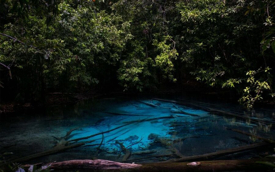 Krabi: Tiger Cave, Hot Springs and Emerald Pool Jungle Tour - Walking through Thung Teao Forest to Emerald Pool