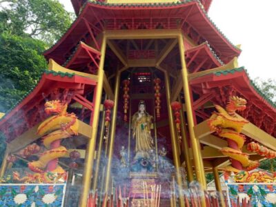 Tiger Cave, Hot Springs and Emerald Pool Jungle Tour