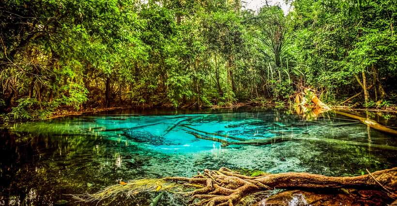 Krabi: Tiger Cave Temple, Emerald Pool and Hot Springs Tour - Guides, vehicles, and the feel of the group
