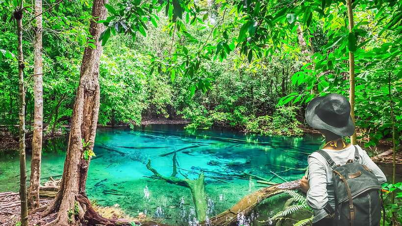 Krabi: Tiger Cave Temple, Emerald Pool and Hot Springs Tour - Emerald Pool: a forest walk with a swim