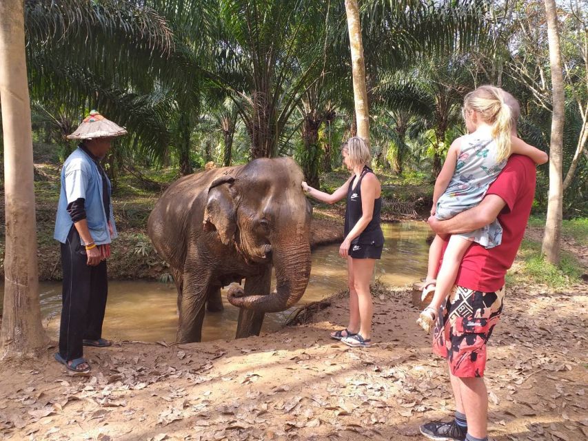 Krabi: Tour of Elephant Care House and Tiger Cave Temple - Meeting the elephants near Phanom Bencha Mountain