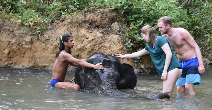 Krabi: Tour of Elephant Care House and Tiger Cave Temple - Feeding, walking, and bathing without elephant rides