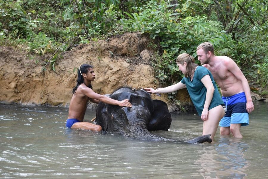Krabi: Tour of Elephant Care House and Tiger Cave Temple - Lunch at the sanctuary and the value of the $77 price