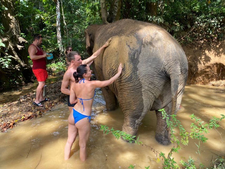 Krabi: Tour of Elephant Care House and Tiger Cave Temple - What to pack for a wet and sweaty day