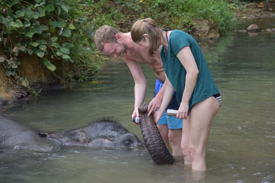 Krabi: Tour of Elephant Care House and Tiger Cave Temple - Booking details worth knowing