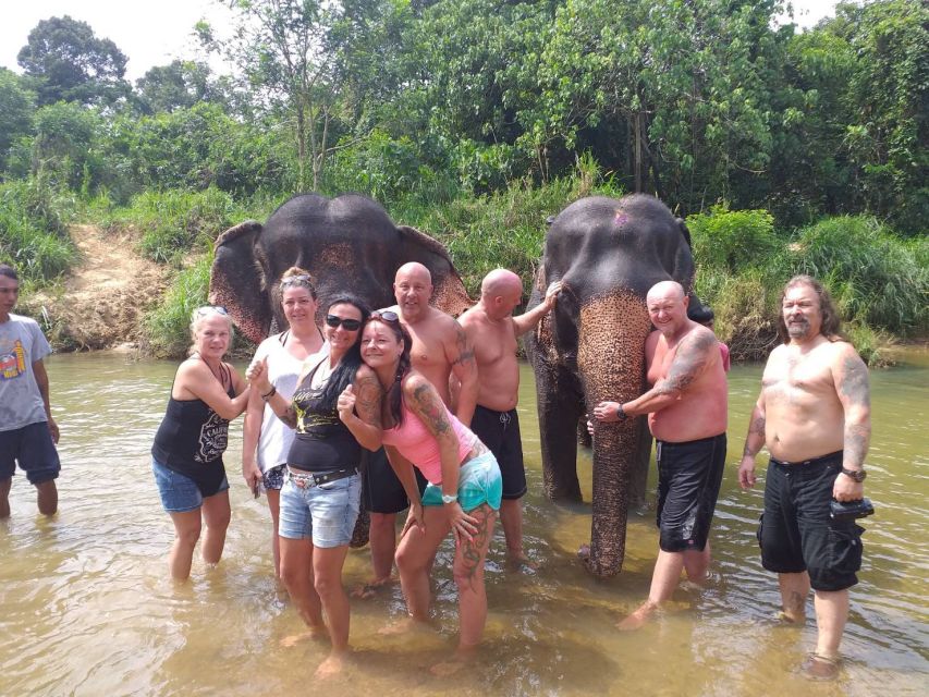 Krabi: Tour of Elephant Care House and Tiger Cave Temple - Should you book this elephant and temple tour?
