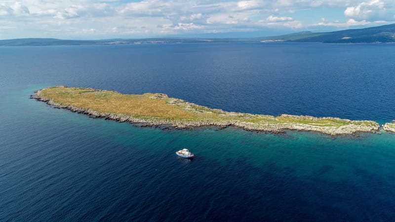 Krk: Golden Beach and Blue Cave Cruise with Welcome Drink - Hand-feeding seagulls at Kormat