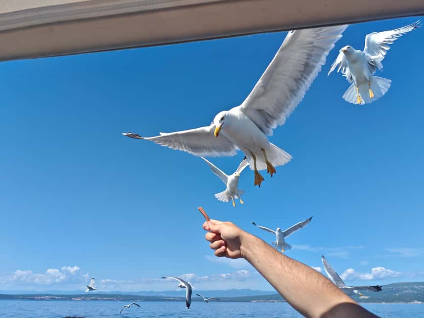 Krk: Golden Beach and Blue Cave Cruise with Welcome Drink - Boat comfort, shade, and the small details