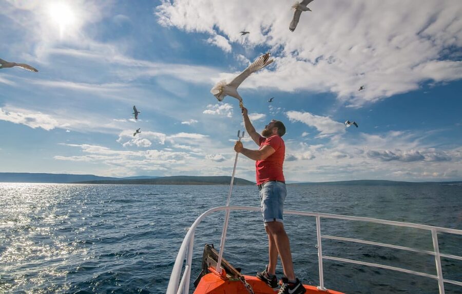 Krk: Golden Beach and Blue Cave Cruise with Welcome Drink - Who should book this trip