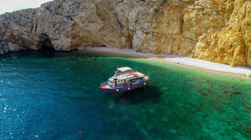 Krk: Golden Beach and Blue Cave Cruise with Welcome Drink - White-headed griffon vultures on the cliffs