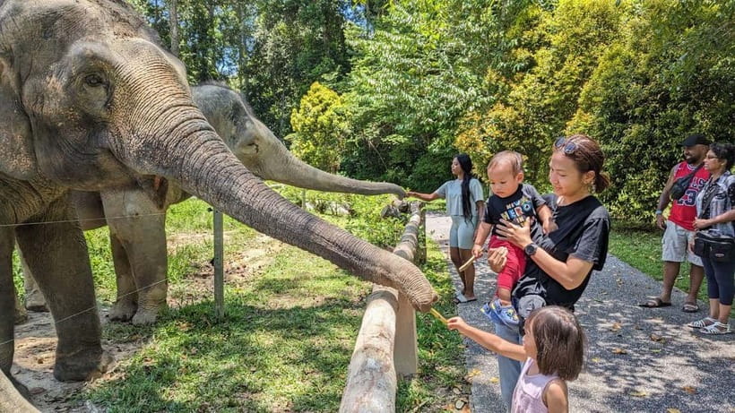 Kuala Lumpur: Batu Caves & Kuala Gandah Elephant Sanctuary - Key points to know before you book